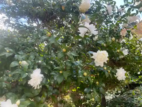 長谷寺(奈良県)