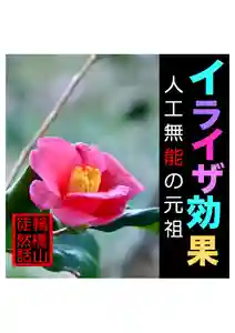 耕田院(山形県)(2024年03月04日(月) 04時30分10秒投稿)