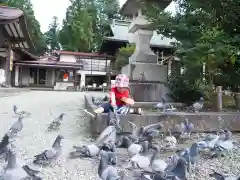 今市報徳二宮神社の動物