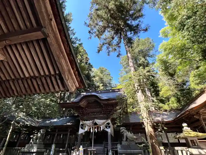 矢彦神社(長野県)
