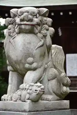 赤羽八幡神社の狛犬