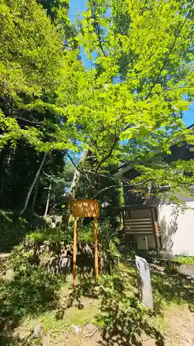 戸隠神社火之御子社(長野県)