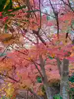 船宿寺(奈良県)