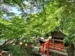 柳谷観音　楊谷寺(京都府)