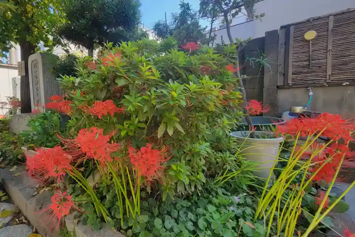 圓光寺(愛媛県)