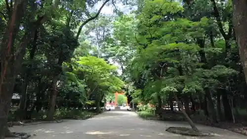 賀茂御祖神社（下鴨神社）の景色