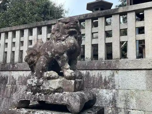 高屋八幡神社の狛犬