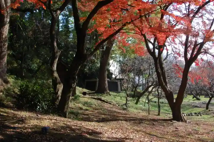 谷保天満宮の庭園