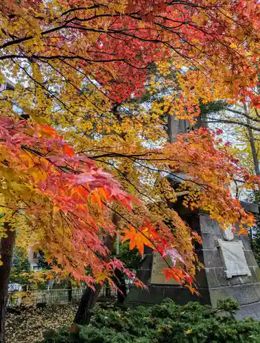 札幌護國神社の自然