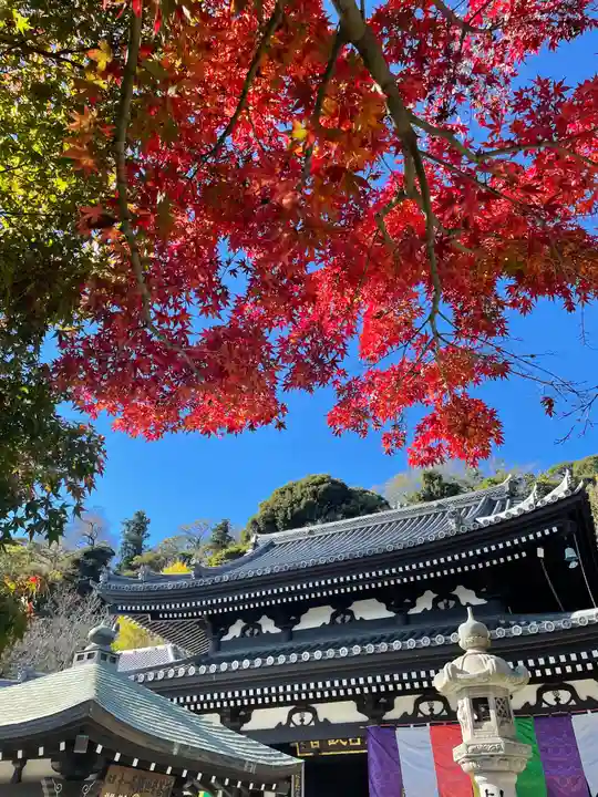 長谷寺のその他建物