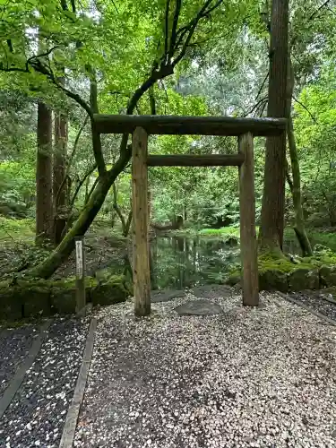 平泉寺白山神社(福井県)