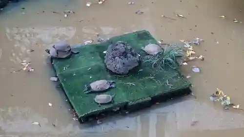 厳島神社の庭園