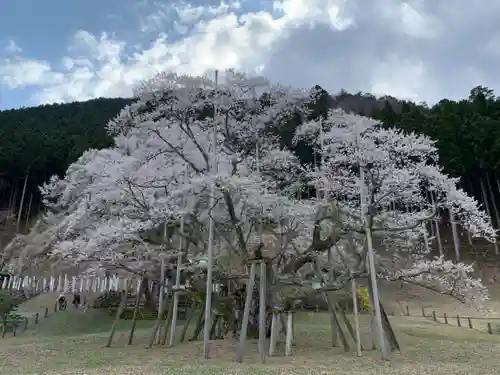 薄墨観音の自然