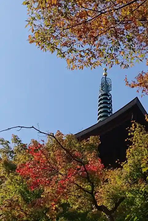 豪徳寺のその他建物