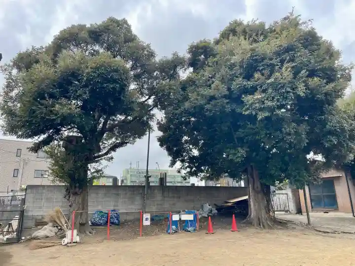 谷津観音堂の{uncategorized: "未分類", other: "その他", undefined: "問題あり", building: "その他建物", grave: "お墓", sacred_gate: "鳥居", guardian: "狛犬", statue: "像", buddha: "仏像", history: "歴史", nature: "自然", garden: "庭園", animal: "動物", pagoda: "塔", temizu: "手水舎", mountain_gate: "山門・神門", sanctuary: "本殿・本堂", subordinate: "末社・摂社", art: "芸術", scenery: "景色", jizo: "地蔵", ema: "絵馬", goshuin: "御朱印", omikuji: "おみくじ", items: "授与品その他", amulet: "お守り", goshuincho: "御朱印帳", eats: "食事", festival: "お祭り", votive_dance: "神楽", shichigosan: "七五三参", wedding: "結婚式", experience: "体験その他", initially: "初詣", around: "周辺", anti_infection: "感染症対策"}
