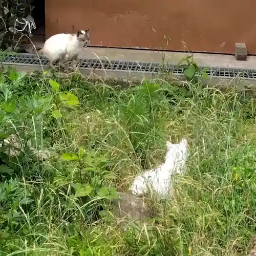 円通寺(埼玉県)