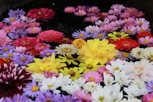 大鏑神社の手水舎