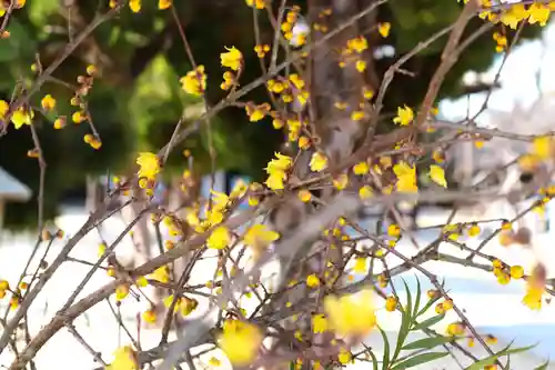 三津厳島神社(愛媛県)