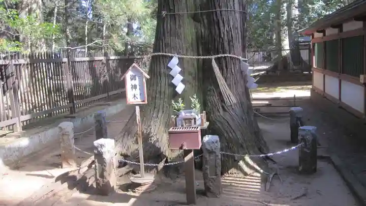 一言主神社(茨城県)