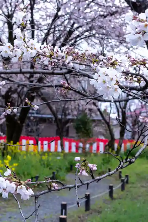 平野神社(京都府)