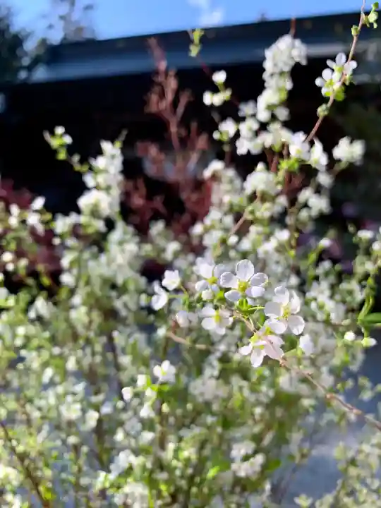 滑川神社 - 仕事と子どもの守り神(福島県)