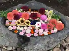 発寒神社の手水