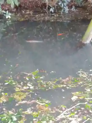 大生神社(茨城県)