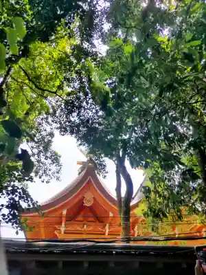 西宮神社の{uncategorized: "未分類", other: "その他", undefined: "問題あり", building: "その他建物", grave: "お墓", sacred_gate: "鳥居", guardian: "狛犬", statue: "像", buddha: "仏像", history: "歴史", nature: "自然", garden: "庭園", animal: "動物", pagoda: "塔", temizu: "手水舎", mountain_gate: "山門・神門", sanctuary: "本殿・本堂", subordinate: "末社・摂社", art: "芸術", scenery: "景色", jizo: "地蔵", ema: "絵馬", goshuin: "御朱印", omikuji: "おみくじ", items: "授与品その他", amulet: "お守り", goshuincho: "御朱印帳", eats: "食事", festival: "お祭り", votive_dance: "神楽", shichigosan: "七五三参", wedding: "結婚式", experience: "体験その他", initially: "初詣", around: "周辺", anti_infection: "感染症対策"}