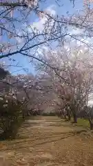 貴船神社の自然