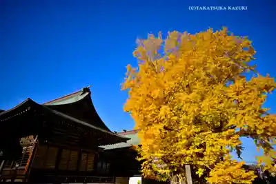 葛飾八幡宮(千葉県)
