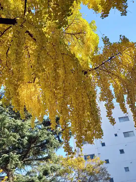 花園神社(東京都)
