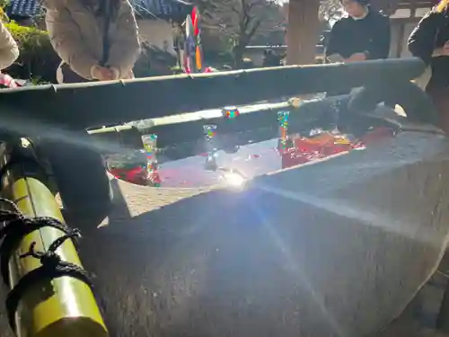 岡寺（龍蓋寺）(奈良県)