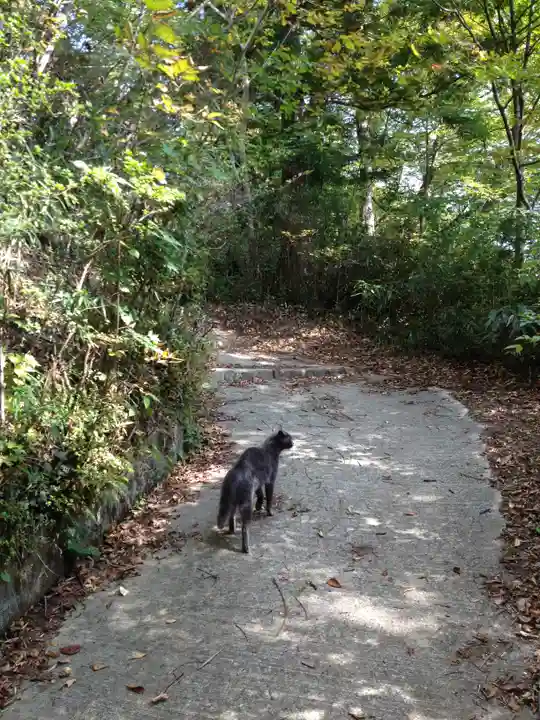 刈田嶺神社の動物