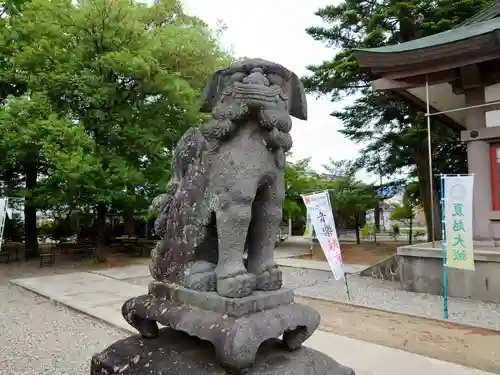 新川神社の狛犬