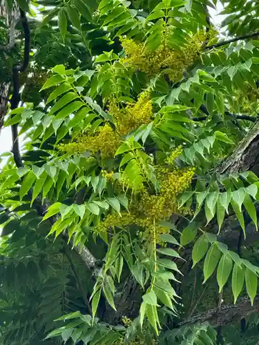 東寺（教王護国寺）(京都府)