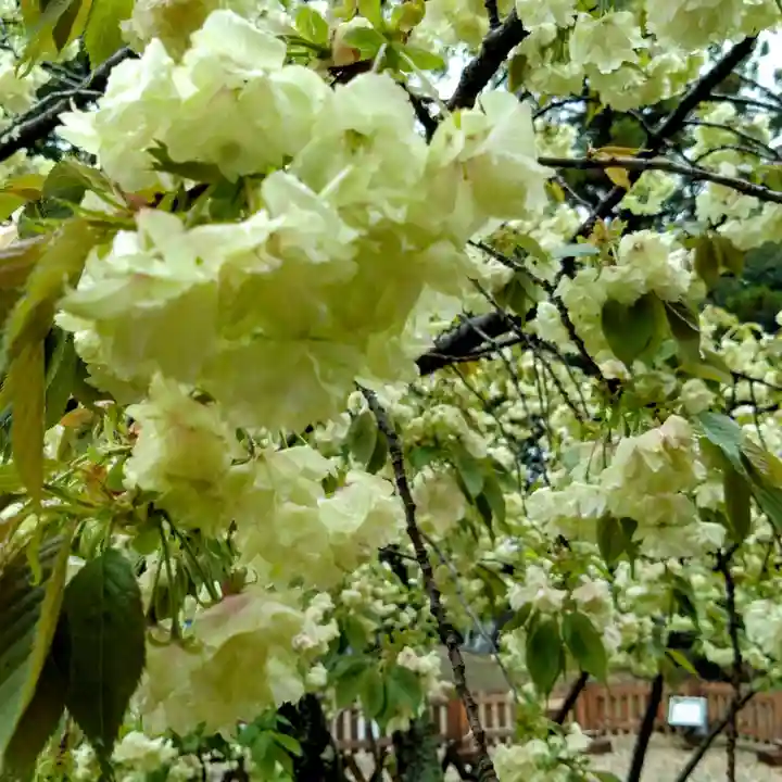 上地八幡宮(愛知県)