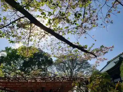 愛染院(東京都)