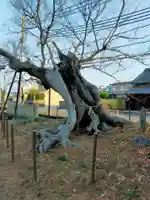 三輪神社(奈良県)