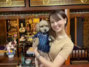 聖光寺(福岡県) 2023年11月07日(火)〜(2023年11月07日(火) 12時43分59秒投稿)