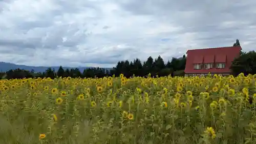 火の山神社の周辺