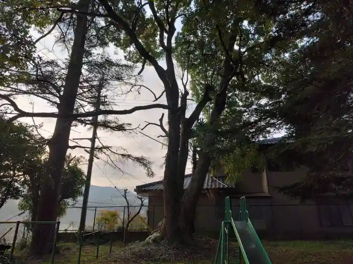 王子神社の{uncategorized: "未分類", other: "その他", undefined: "問題あり", building: "その他建物", grave: "お墓", sacred_gate: "鳥居", guardian: "狛犬", statue: "像", buddha: "仏像", history: "歴史", nature: "自然", garden: "庭園", animal: "動物", pagoda: "塔", temizu: "手水舎", mountain_gate: "山門・神門", sanctuary: "本殿・本堂", subordinate: "末社・摂社", art: "芸術", scenery: "景色", jizo: "地蔵", ema: "絵馬", goshuin: "御朱印", omikuji: "おみくじ", items: "授与品その他", amulet: "お守り", goshuincho: "御朱印帳", eats: "食事", festival: "お祭り", votive_dance: "神楽", shichigosan: "七五三参", wedding: "結婚式", experience: "体験その他", initially: "初詣", around: "周辺", anti_infection: "感染症対策"}