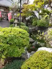 東光寺別院桜ヶ池不動院の庭園