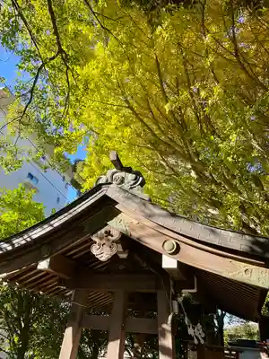 小金八坂神社(千葉県)