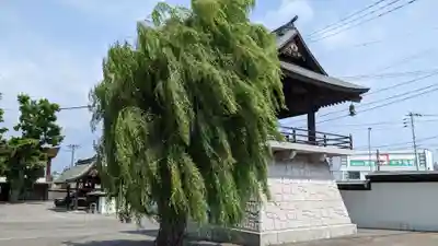 龍徳寺のその他建物
