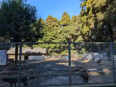 鹿島神宮(茨城県)