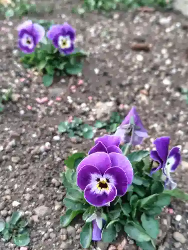 正泉寺(神奈川県)