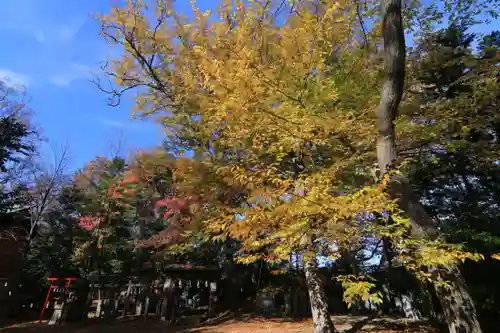 日吉神社の景色