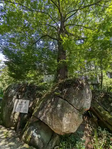 石都々古和気神社(福島県)