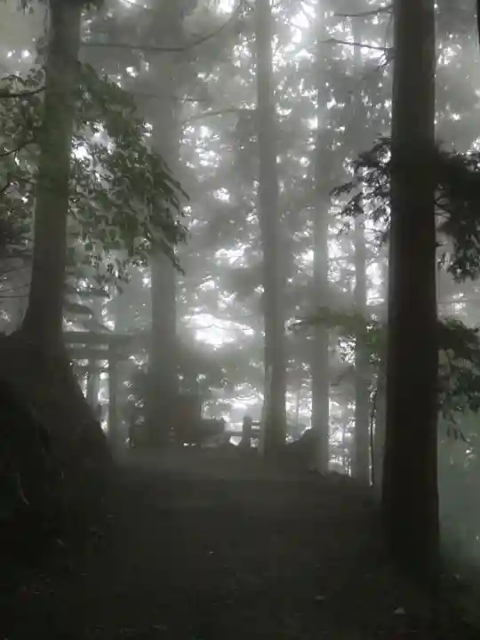 玉置神社の{uncategorized: "未分類", other: "その他", undefined: "問題あり", building: "その他建物", grave: "お墓", sacred_gate: "鳥居", guardian: "狛犬", statue: "像", buddha: "仏像", history: "歴史", nature: "自然", garden: "庭園", animal: "動物", pagoda: "塔", temizu: "手水舎", mountain_gate: "山門・神門", sanctuary: "本殿・本堂", subordinate: "末社・摂社", art: "芸術", scenery: "景色", jizo: "地蔵", ema: "絵馬", goshuin: "御朱印", omikuji: "おみくじ", items: "授与品その他", amulet: "お守り", goshuincho: "御朱印帳", eats: "食事", festival: "お祭り", votive_dance: "神楽", shichigosan: "七五三参", wedding: "結婚式", experience: "体験その他", initially: "初詣", around: "周辺", anti_infection: "感染症対策"}