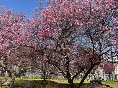 御厨神社(兵庫県)